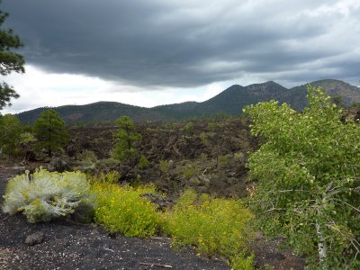 Lava Rock