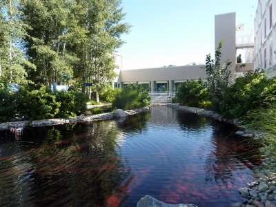USOC Pond