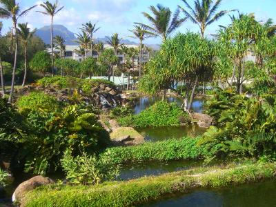 The Embassy Vacation Resort