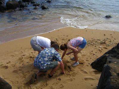 Salt Pond Beach Park