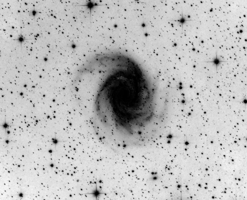 NGC2997 LRGB 120 40 40 50