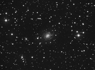 IC4901 Supernova 21 Oct 2011 discovered by Greg Bock CDK17 ML8300 70mins 2x2 -35C.jpg