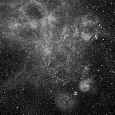 Vela Supernova Remnant Halpha image