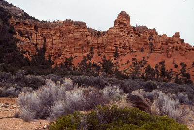 RedCanyon.jpg