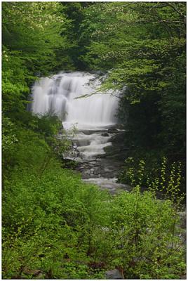   meigs falls on little  river road  28 ft tall