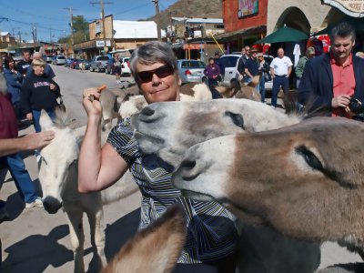 Jeannine feeding the burro's