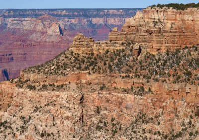 Grand Canyon with pack horses