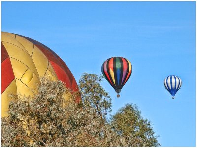 Havasu Balloon Festival 2012