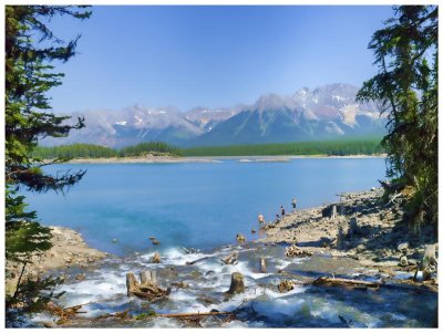 Fishing Upper Kananaskis