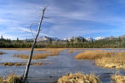 Frozen Pond