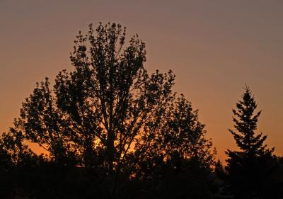 Sunset from my balcony tonight