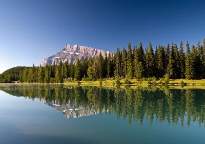 Morning at the Pond...