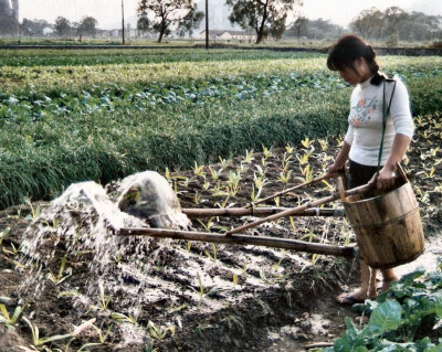 extraordinary system of field watering.China,1991 .jpg