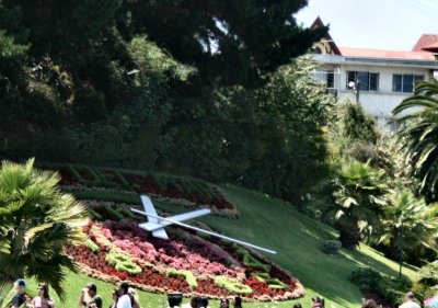 flower clock - Chile .JPG