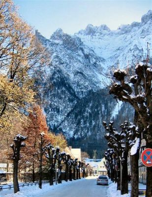 Snowy Mountain  And Trees.JPG