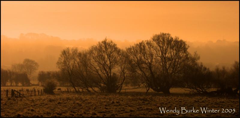 Frosty Cold view