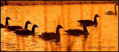 Golden Lake