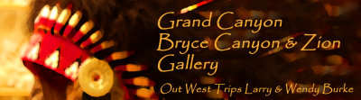 out west trip banner new.jpg