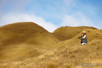 Photographing the Grasslands2 3_MG_0375Argb-web.jpg