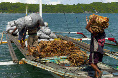 Firewood on the Move L1015218-FulRes.jpg