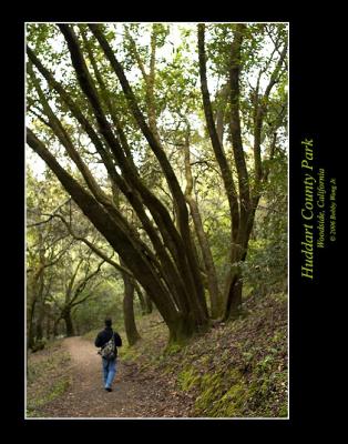 Huddart County Park