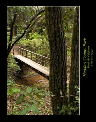 Huddart County Park