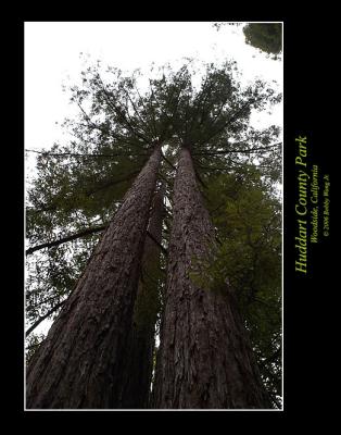 Huddart County Park
