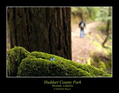 Huddart County Park