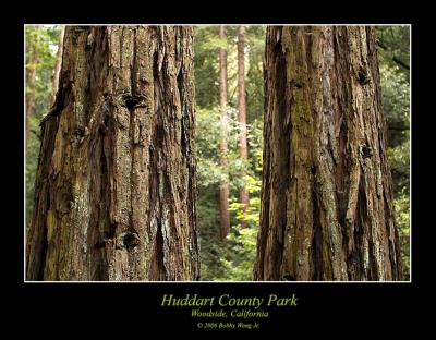 Huddart County Park