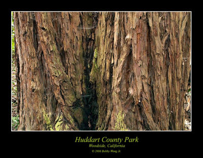 Huddart County Park