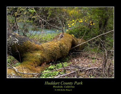 Huddart County Park