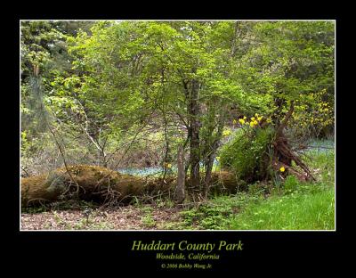 Huddart Park