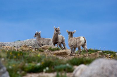 IMG_5881.jpg