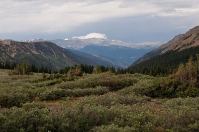 IMG_6153.jpg