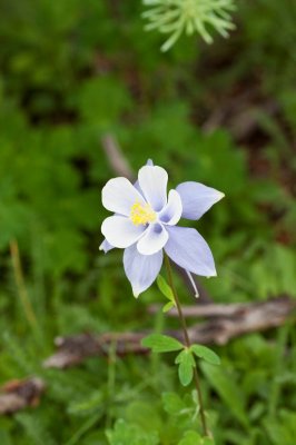 IMG_6160.jpg