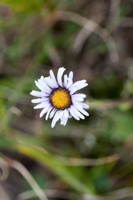 IMG_6164.jpg