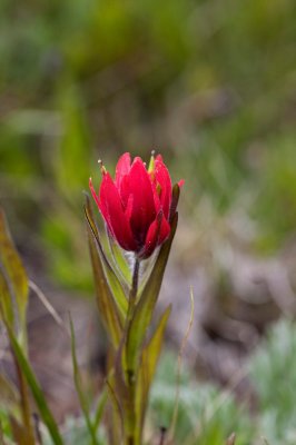 IMG_6170.jpg