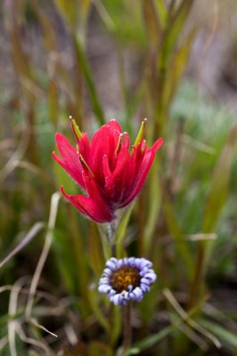 IMG_6171.jpg