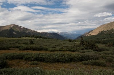 IMG_6181.jpg