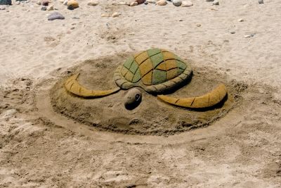 Downtown PVR - Sand turtle