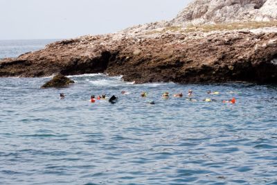 Puerto Vallarta (2006)