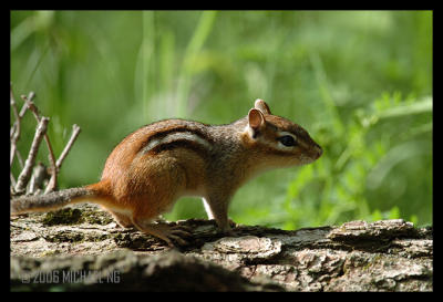 Kensington Metropark