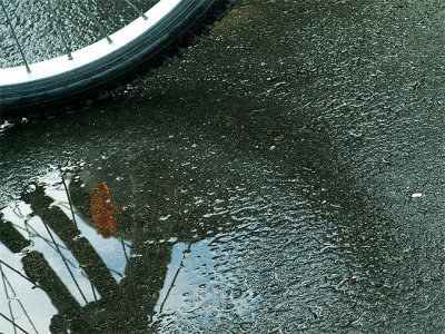 another rainy day II 02-08-2006