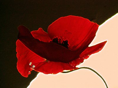 archive time 19-08-2006