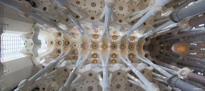 Panormica de la bveda de la Baslica de la Sagrada Familia