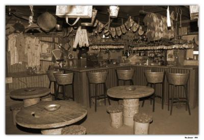 Kalahari Oasis Bar