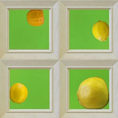 Citrus Squares