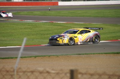 PICT0291.JPG