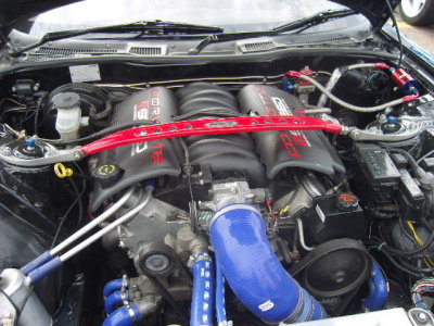 SNV80602.JPG