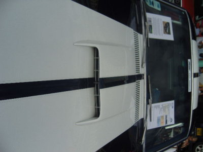 SNV80604.JPG